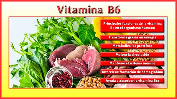 Beneficios Vitamina B6 - Dietetica Ferrer