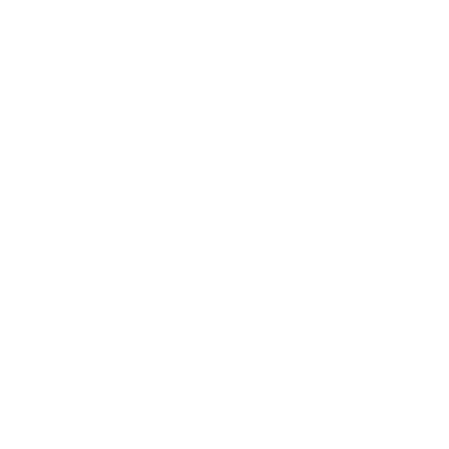 Payment