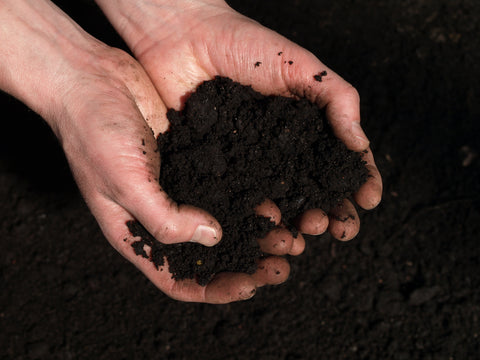 soil in mans hands