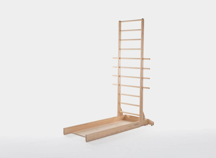 CoreAlign Free Standing Ladder