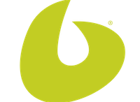 Balanced Body green logo mark