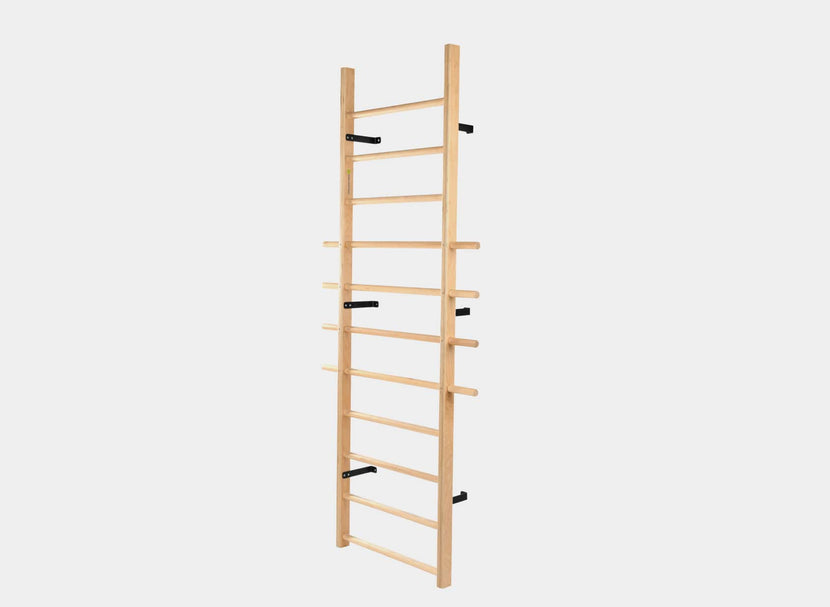 CoreAlign Wall Mounter Ladder product photo