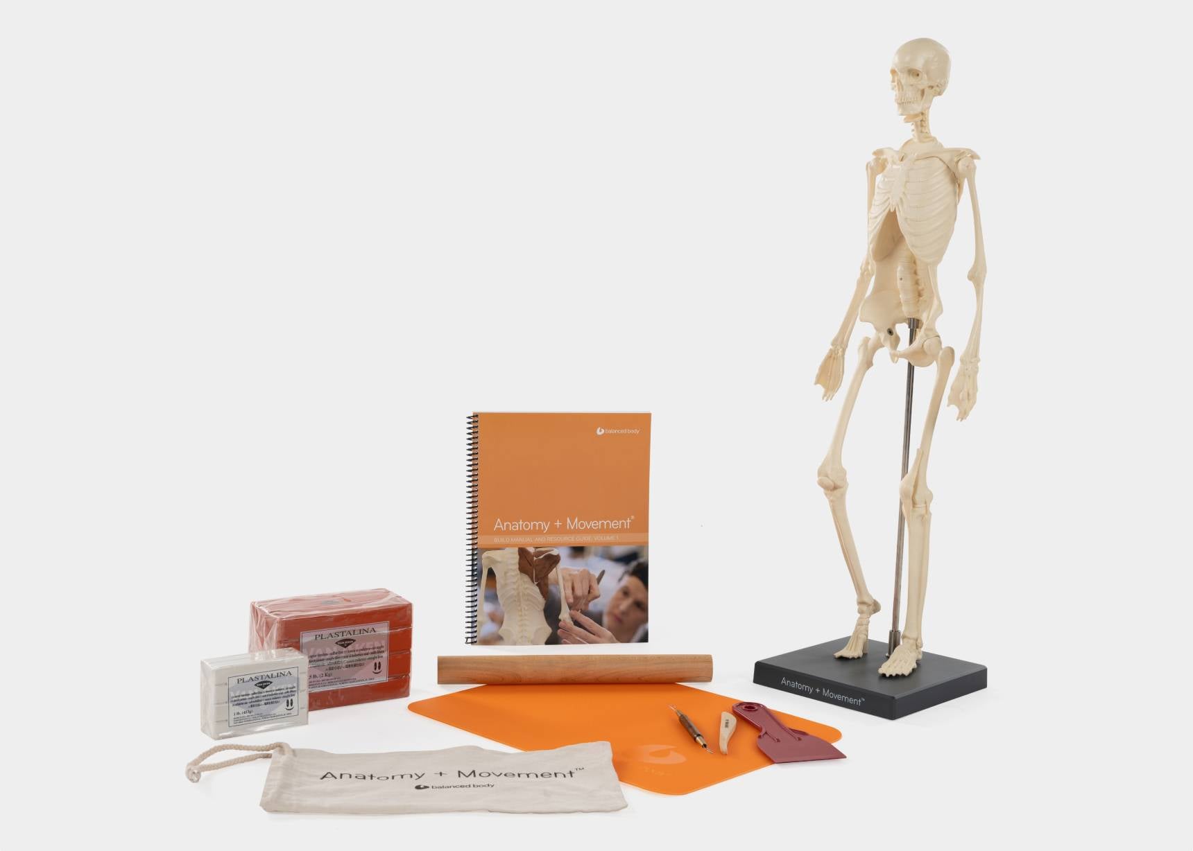 Anatomy Complete Build Kit for comprehensive anatomical studies.