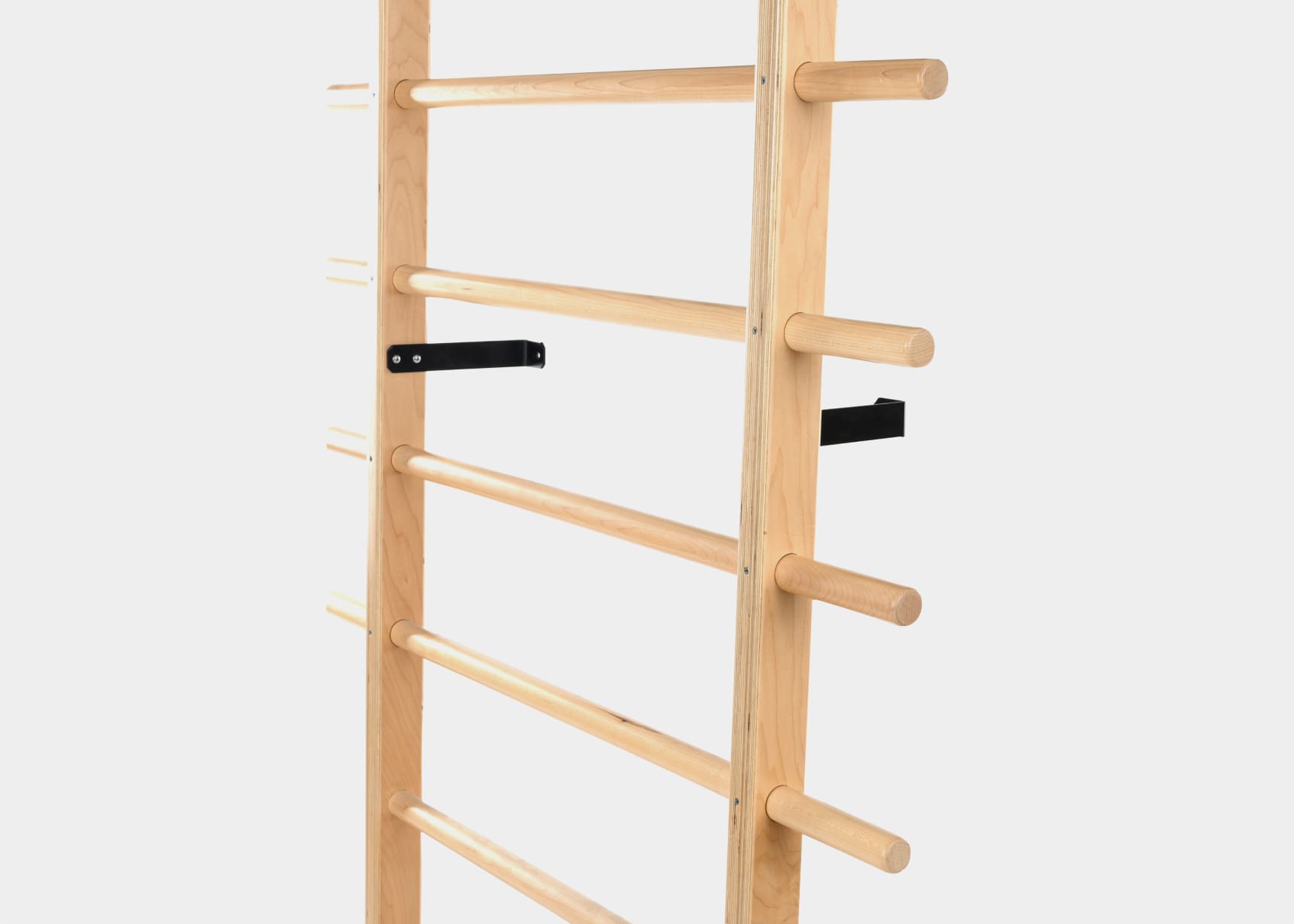 CoreAlign Wall Mounter Ladder close-up product photo