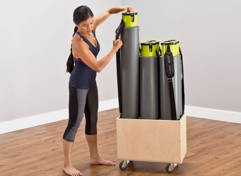 Balanced Body Pilates Ladder Barrel & Combo Chair  Classifieds for Jobs,  Rentals, Cars, Furniture and Free Stuff