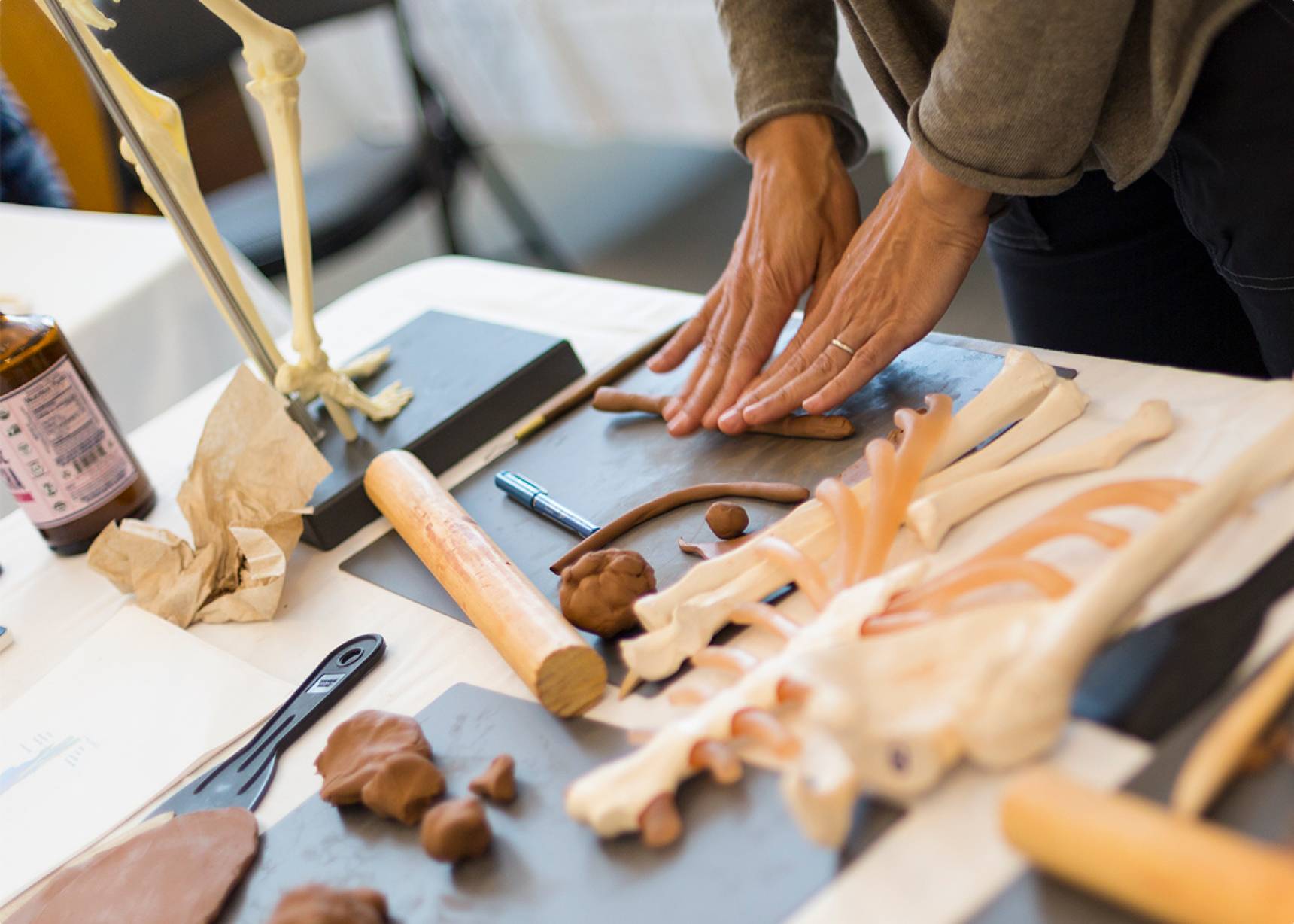 Woman sculpting with plastaline, displaying anatomy toolkit.