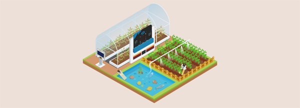 Elecfreaks Smart Agriculture Kit Banner