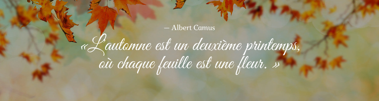 Citation Automne Albert Camus