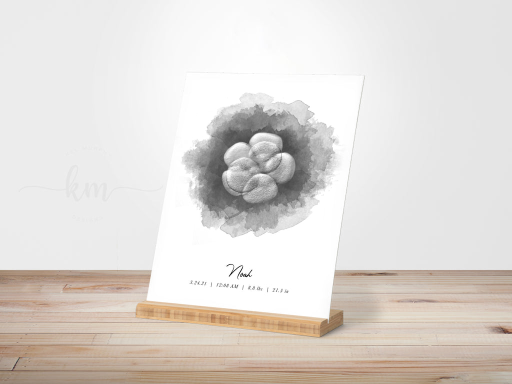 Custom watercolor IVF embryo art on gallery board with bamboo stand in nursery