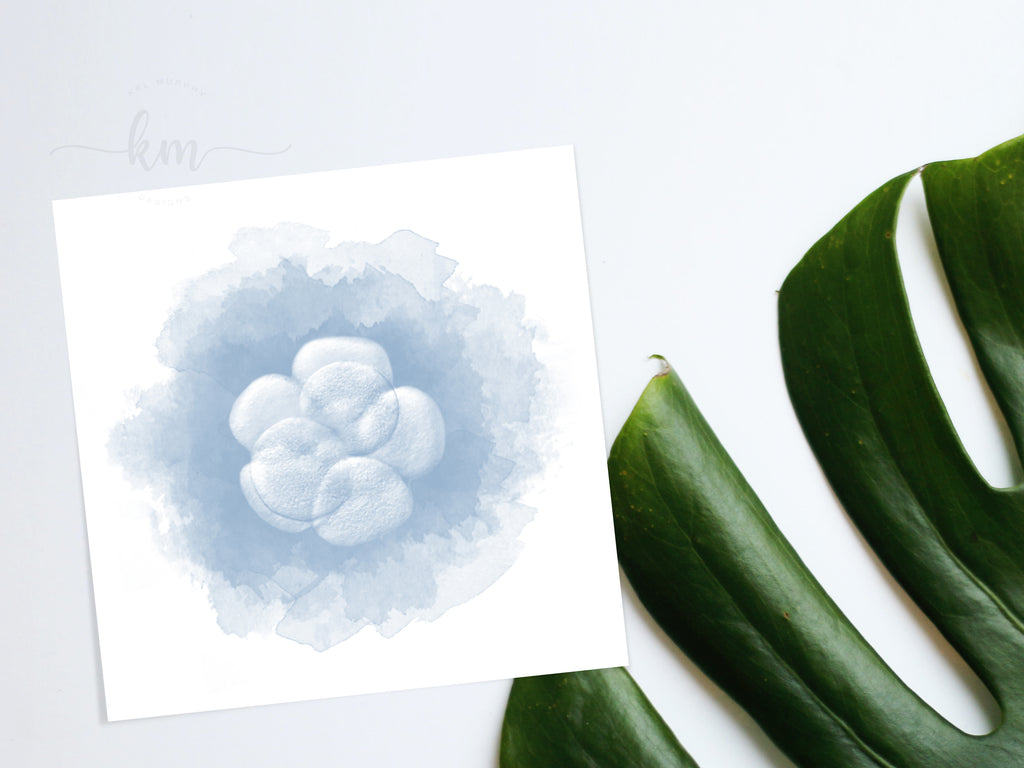 IVF Embryo in blue watercolor art design custom gift for new mom