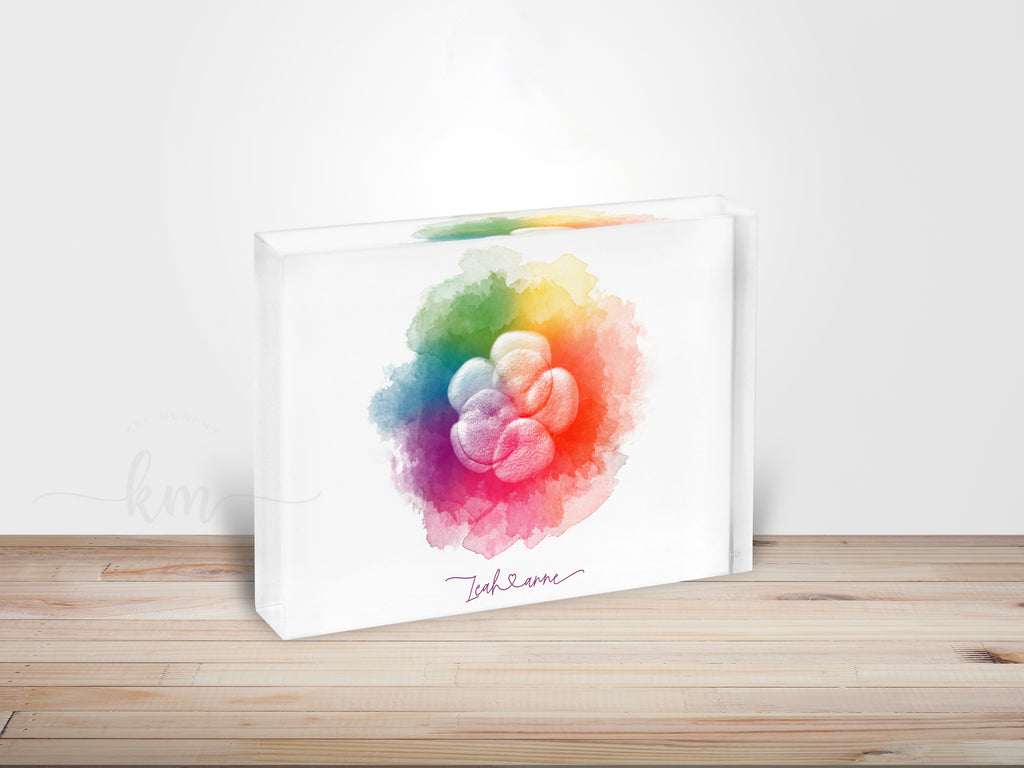 Custom IVF Embryo watercolor art rainbow baby keepsake acrylic block