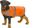 Colete para cão de alta visibilidade-RAG-Tailors-Fardas-e-Uniformes-Vestuario-Pro