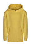 SweatShirt Infantil c\capuz Alivor (12de 2)-Summer Yellow-12-RAG-Tailors-Fardas-e-Uniformes-Vestuario-Pro