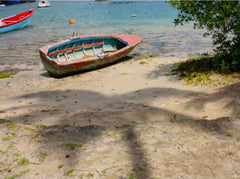 Palm tree shadow on beach with creole skiff