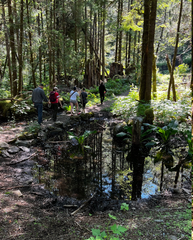 Water trap on Treadwell Course