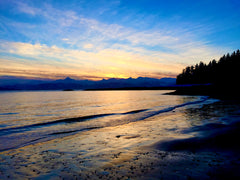 Auk Bay Recreation Picnic Area