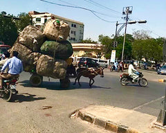 Pakistan donkey carrying load of recyclable material