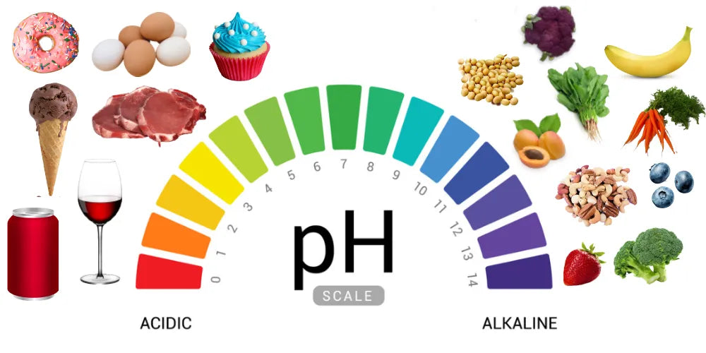 Alkaline Diet Health