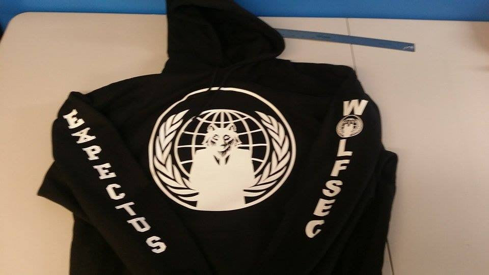 anonymous hoodie