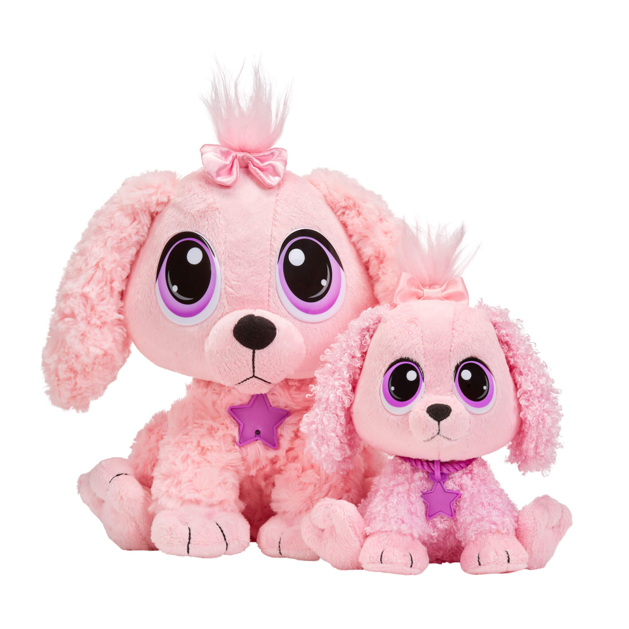 are poodles pink