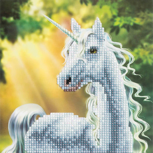 Princess & Unicorn Crystal Art Frame Kit - Canvas Kit 30 x 30cm | chicken