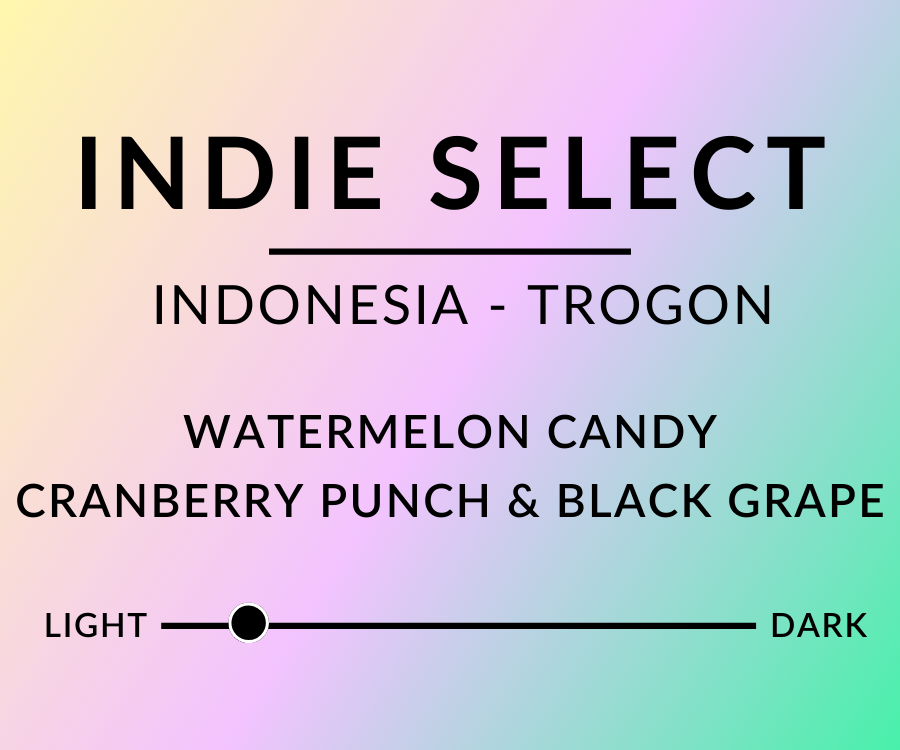 Indie Coffee Roasters cover image