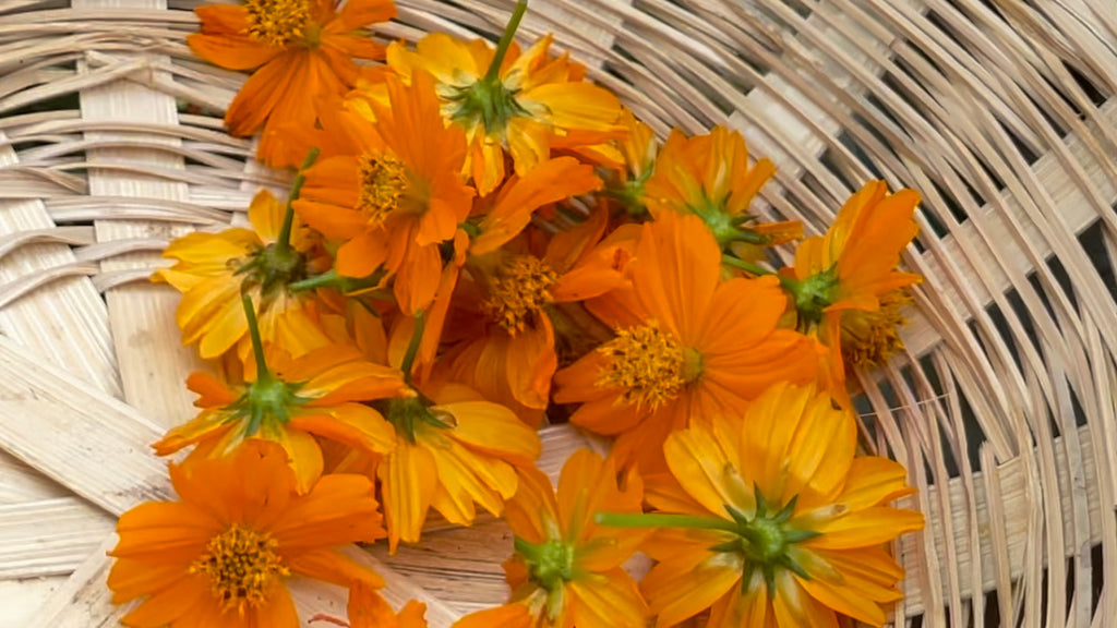 foraging flowers