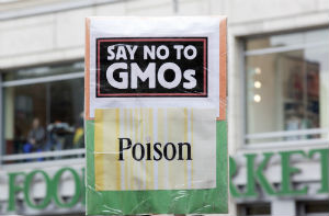 say-no-to-gmos