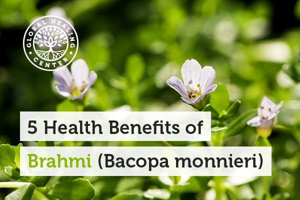 Stress reduction is one of the health benefits of Brahmi bacopa monnieri.