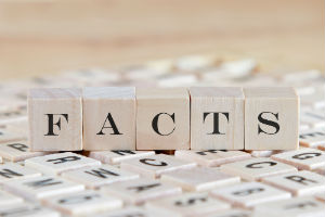 facts-spelling-in-blocks