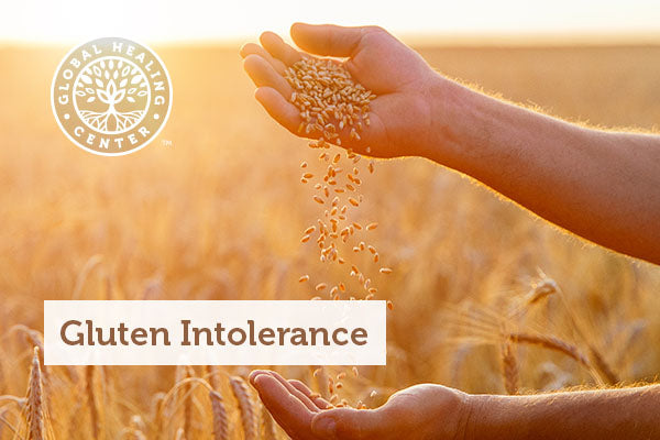 A man holding wheat grains.