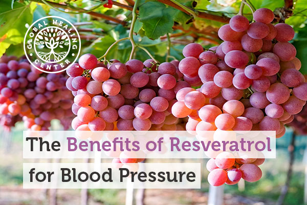 Resveratrol is commonly found in grapes and help support healthy blood pressure.