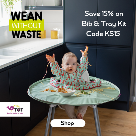 Tidy Tot make weaning easy 