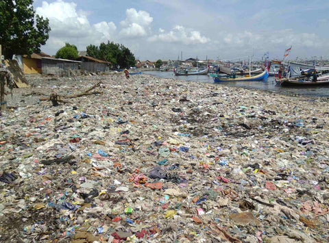 Your order will rescue plastic from the ocean