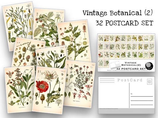 Botanical Postcard Set - Set of 26 Postcards - Vintage - Nature - Scra –  The NeckahNeck Forest Arts Collective