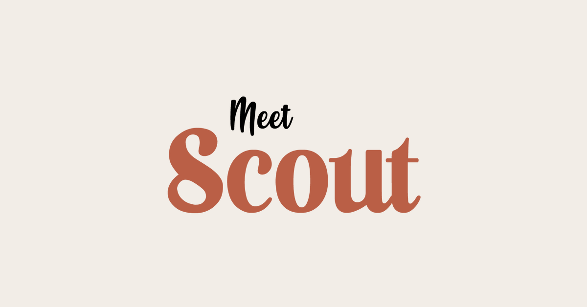 Meet Scout