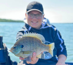 Large Panfish Caught on Plastics