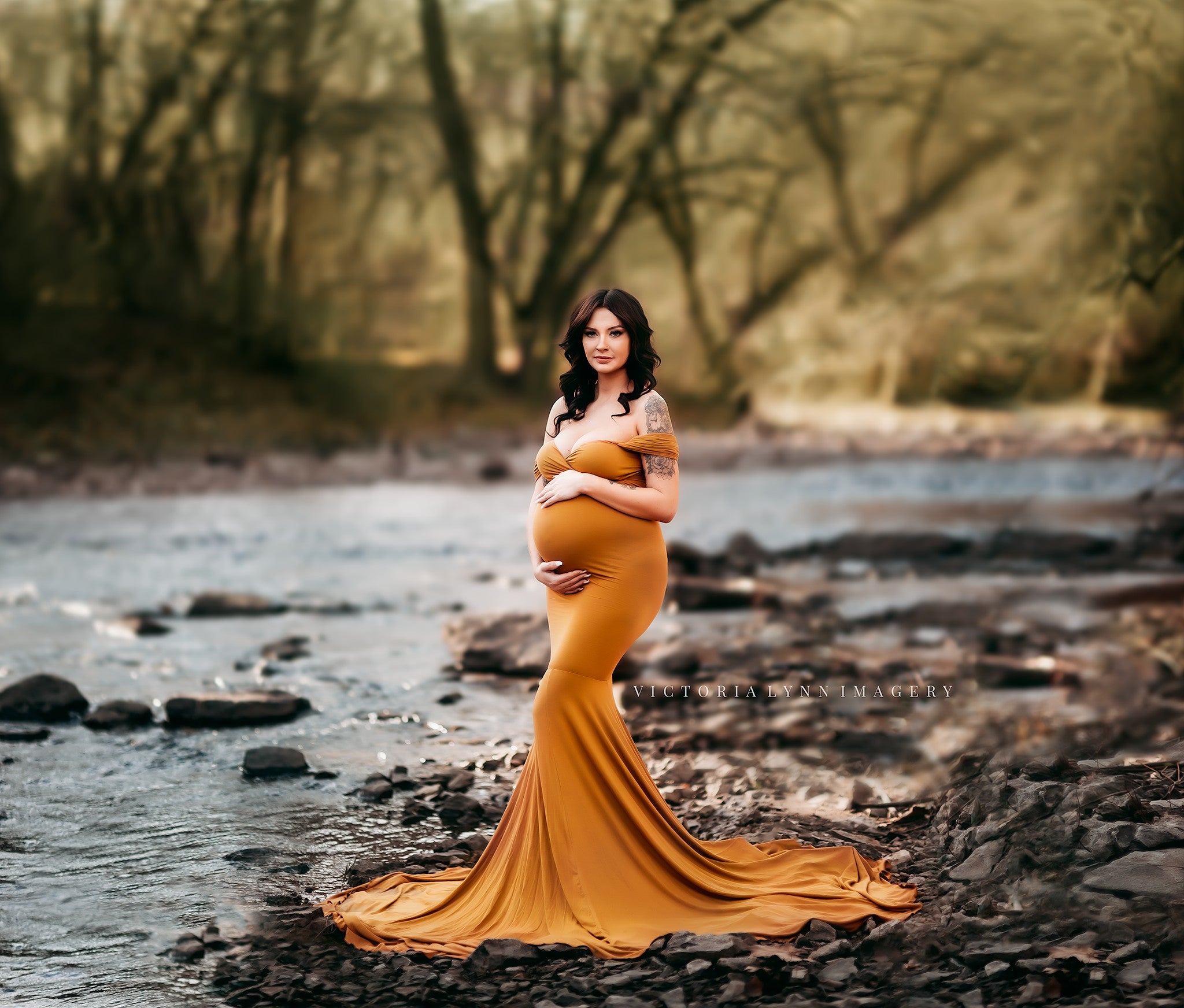  Chicaboo Maternity Photoshoot Dress