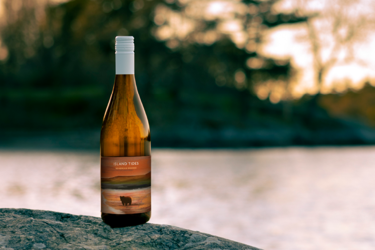 Bottle of Island Tides Bohemian Orange Wine placed on a rock with a lake view in the background