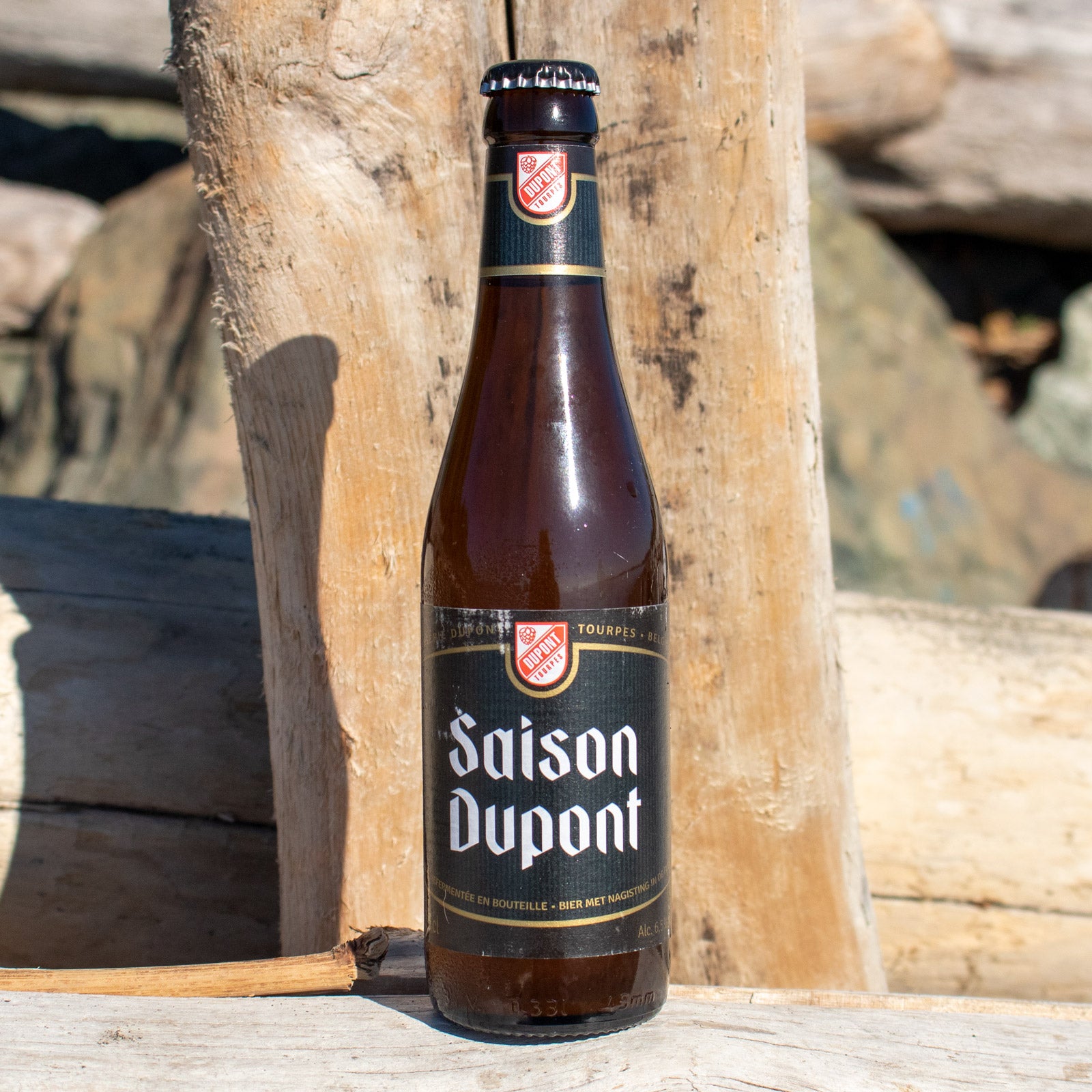 Saison Dupont Belgium Beer