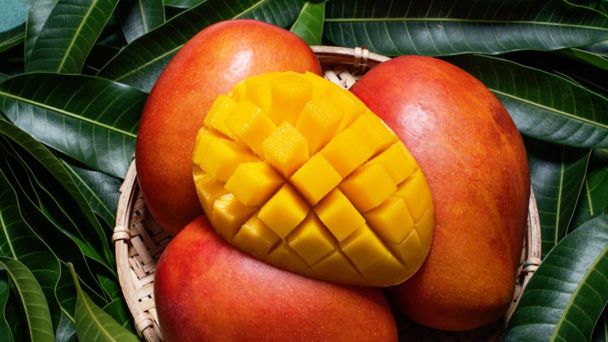 Mango Flavor 4g (NG)