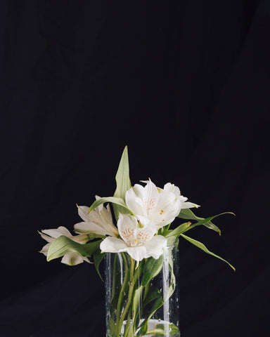 white cala lily