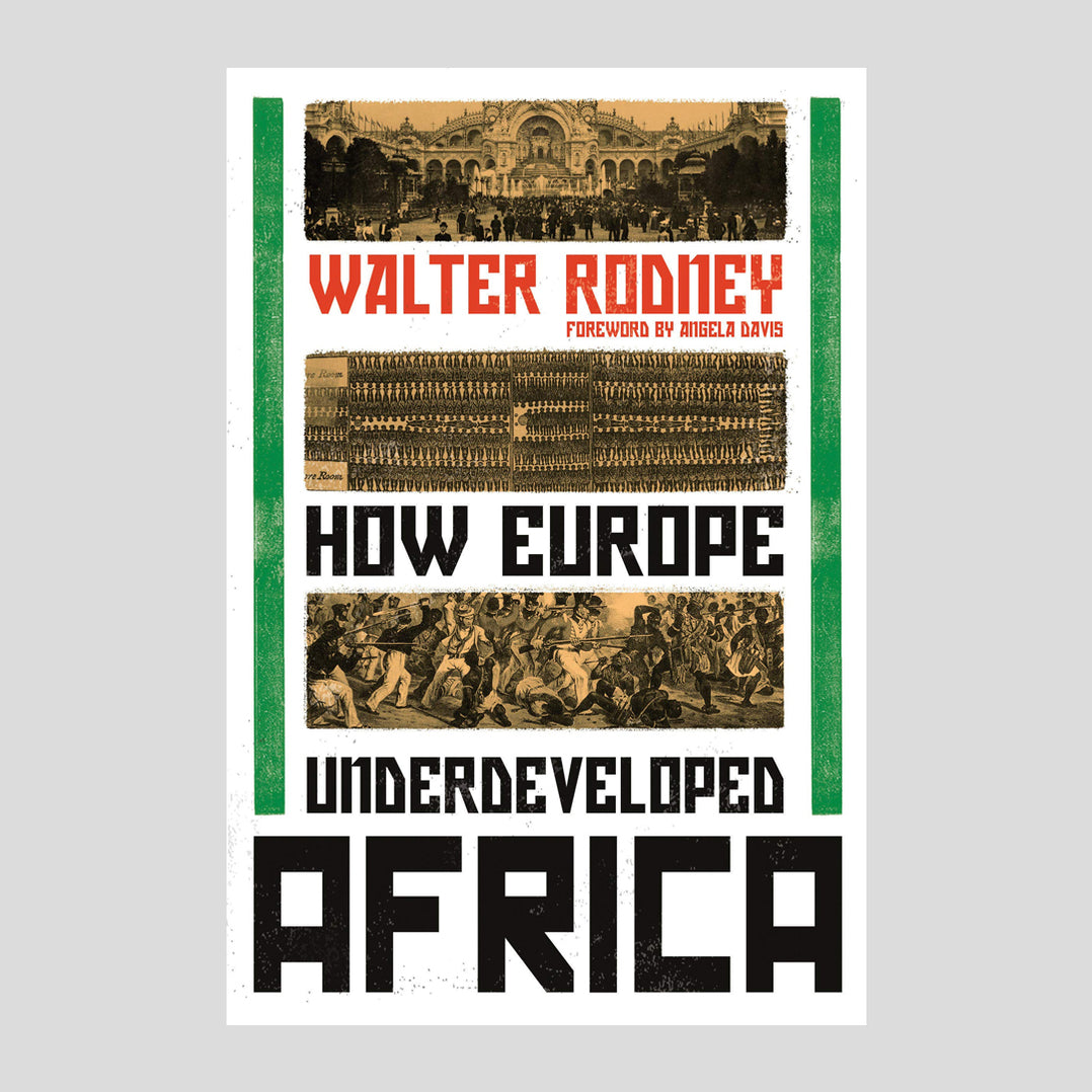 the book how europe underdeveloped africa