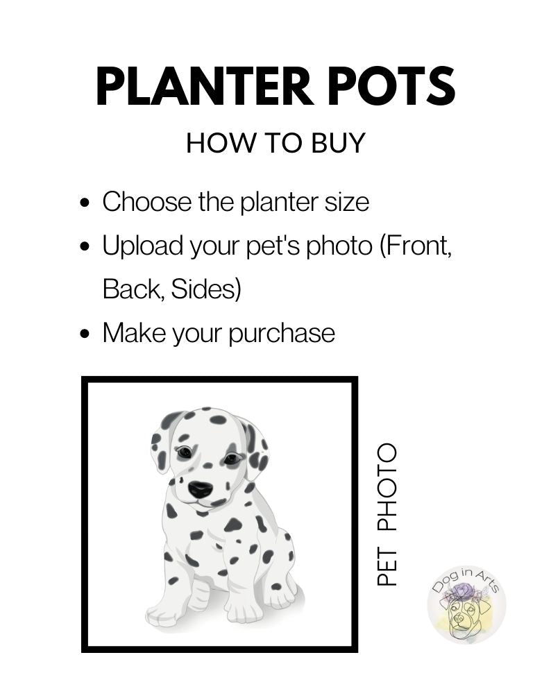 Panter Pots - How to buy