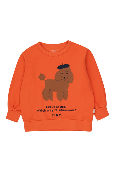 Tinycottons // Chamonix Twins Sweatshirt – Meg & Milo US