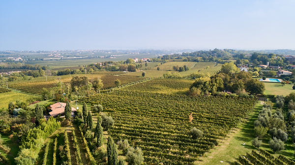 Malavasi Weingut