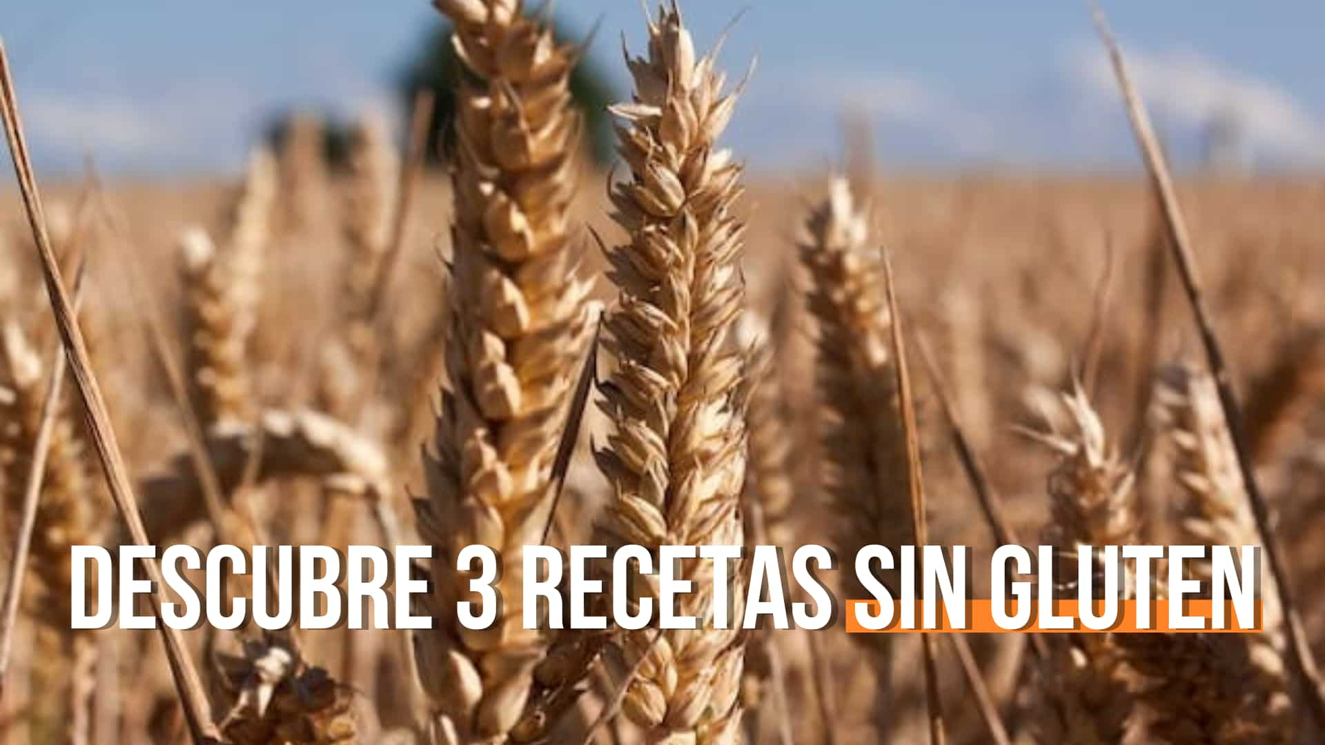 Descubre 3 recetas Sin Gluten – KETONICO [K] ᴺ