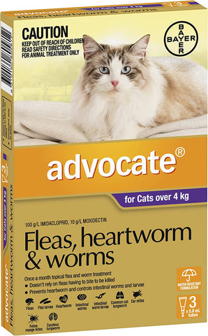 advocate cat deworming