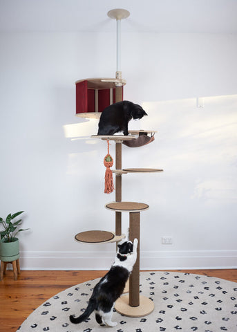 wood for cats cat tree