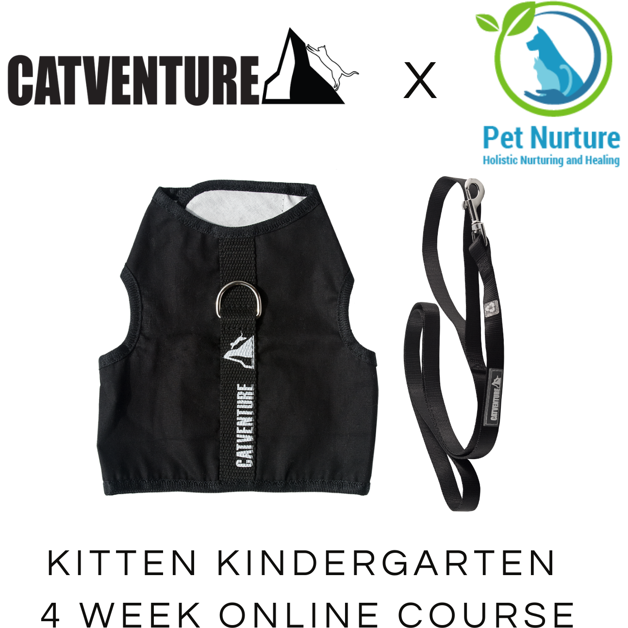 Kitten Kindergarten 4 Week Online Course - Cat Harness Australia product image